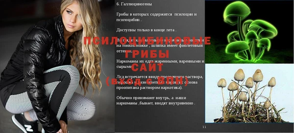 экстази Алексин