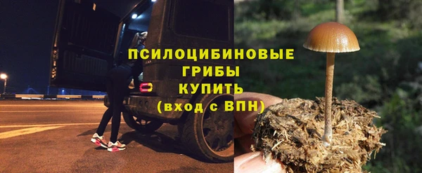 стаф Надым